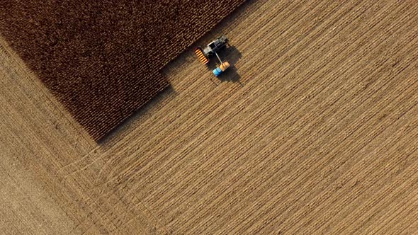 Harvester Pours the Corn After Harvesting Into Field Into Back of Cargo Vehicle alt