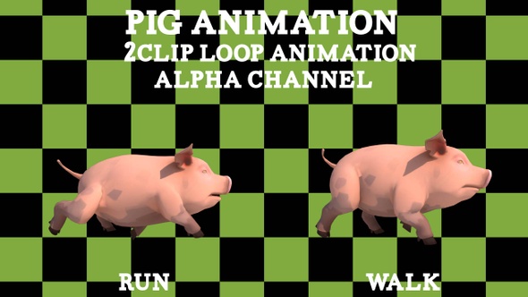 Pig 2Clip Alpha Loop