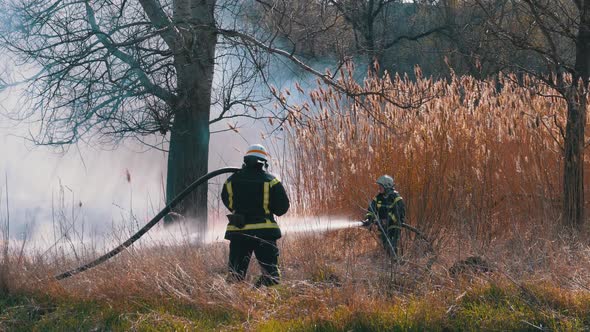 Two Firefighters in Equipment Extinguish Forest Fire with Fire Hose. Slow Motion alt