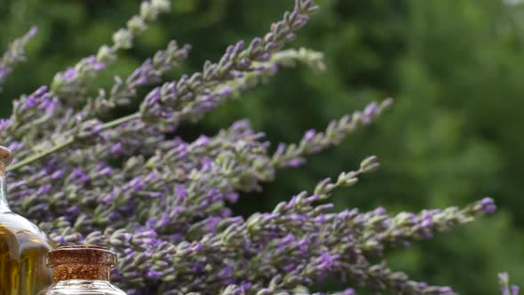 Lavender and Lavender Oil 35 alt