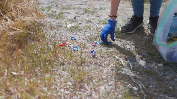 Volunteers Collecting Rubbish Garbage on the Beach  Clean Up Green Plastic Polution alt