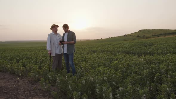 Farmers Stand and Talk About Their Farm Fields alt