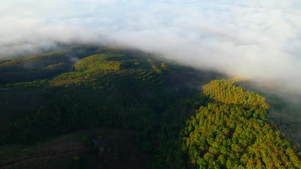 4K Aerial view over high mountain farmland with foggy morning alt