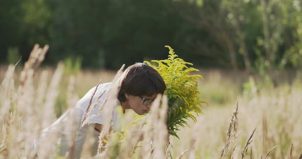 Woman is Picking Solidago Commonly Called Goldenrods on Autumn Field alt