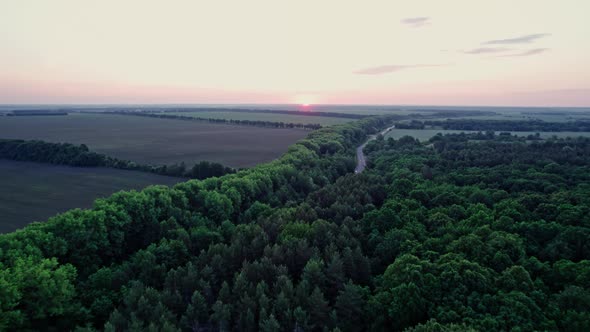 Drone Flight Over Green Grass Forest Landscape with Meadow and Trees alt