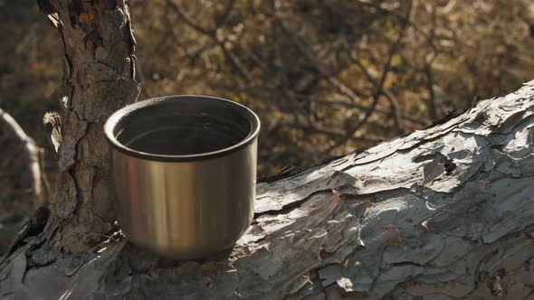 A Cup of Hot Coffee Stands on a Littered Tree in the Autumn Forest alt