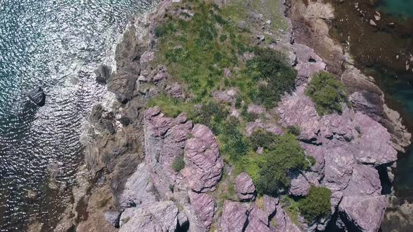 Unique Wild Flora on Basalt Rock in Mediterranean Sea, Drone Is Moving Up and Rotating