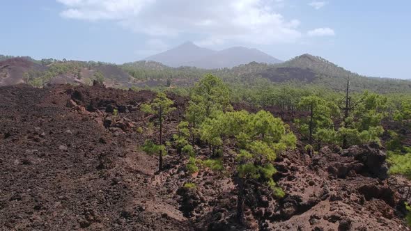 Majestic volcanic landscape and Teide volcano in far distance, aerial ascend view alt
