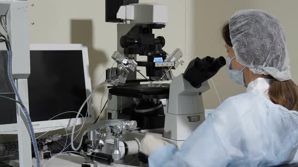 An Embryologist Looks Through a Microscope and Performs Artificial Insemination alt