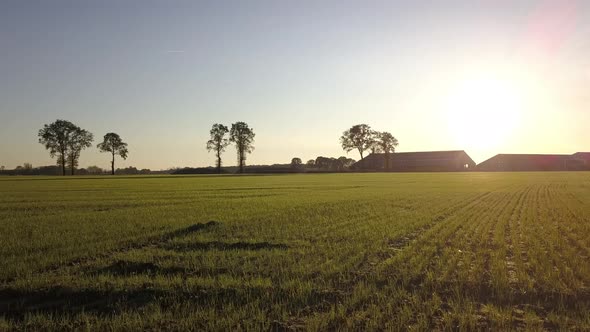 Aerial Cinematic Clip Drone Flying Over a Farm Field During Sunset alt