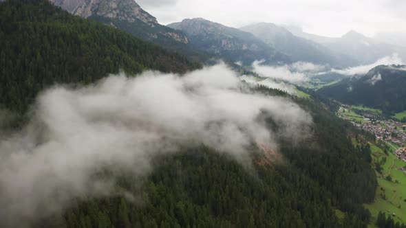 Ancient Alps Mountain Covered with Coniferous Forest alt