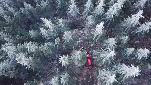 Wood Processing Factory. Aerial shot, Forest Logging Machinery Equipment