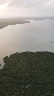 Zanzibar Tanzania  Ocean Shore Covered with Green Thickets Vertical Video alt