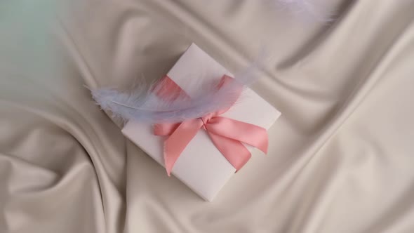 Bird Feathers Flying Into White Gift Box with Pink Ribbon alt