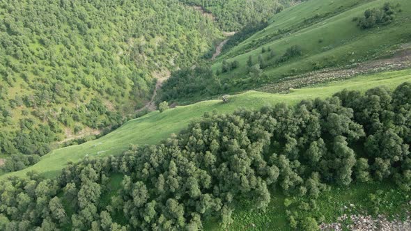 View of the Green Caucasus Mountains in Summer From the Sky alt