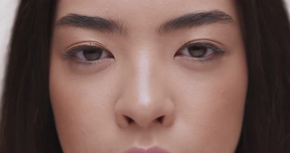Close Up Portrait of Young Asian Woman Looking To Camera alt