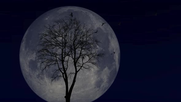 Silhouette Of Birds And Lone Tree With Full Moon