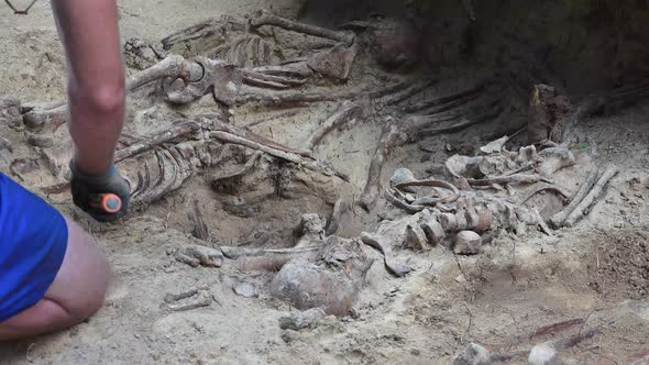 Mass Grave or Archaeological Excavations 9
