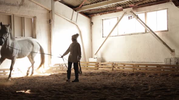 An Elderly Woman Trains a Horse on the Arena