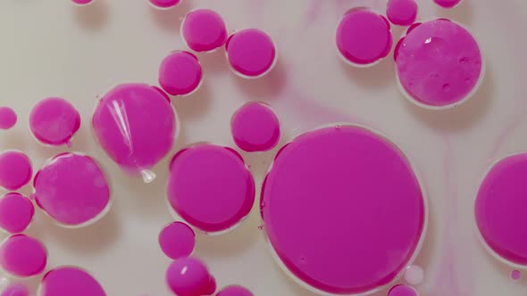 Fantastic Structure of Colorful Oil Paint and Ink Bubbles Chaotic Motion Abstract Colorful Paint alt