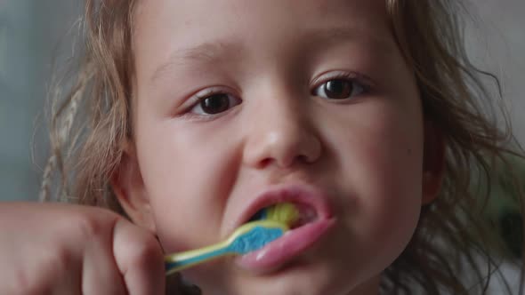 Portrait of Little Girl is Intensively Brushing Her Teeth in Bathroom