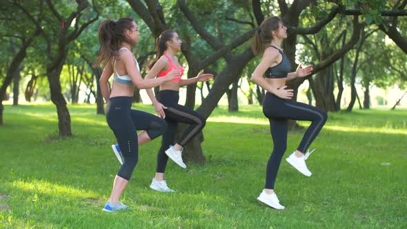 Group of girls jogging on the spot on a sunny day. Women working out in the park alt