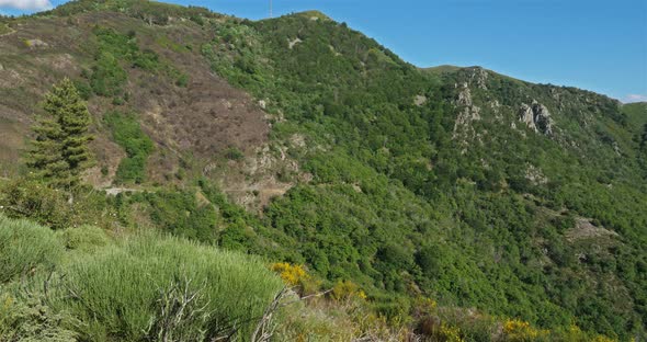 Col de l'Asclier, Cevennes, Gard, France alt