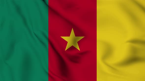 Cameroon flag seamless closeup waving animation
