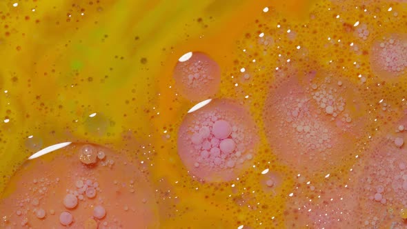 Bright Neon Colorful Bubbles Oil and Ink Acrylic Paint Moving Closeup Wallpaper Background alt