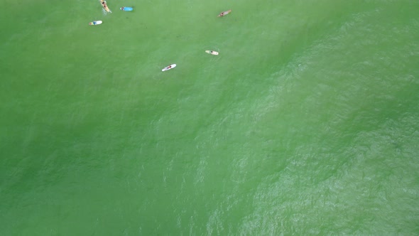 SUP - Group of Tourists on Paddleboards on Florida Gulf Coast Beach - Drone Overhead Aerial View alt