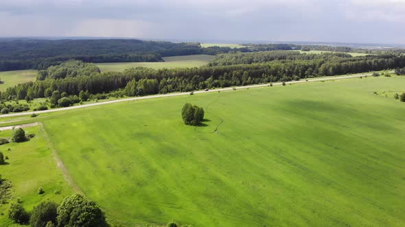 9 Tree In The Field