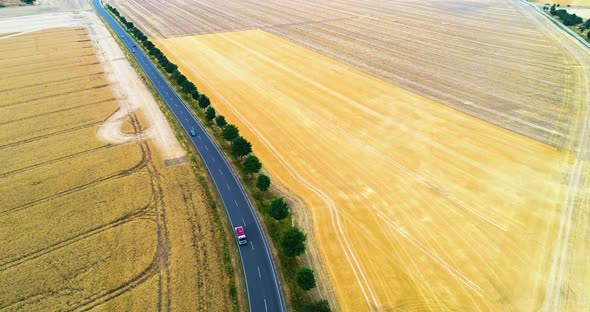 Aerial Fly Over The Road Between Agriculturw Fields With Car Travelling  4 alt