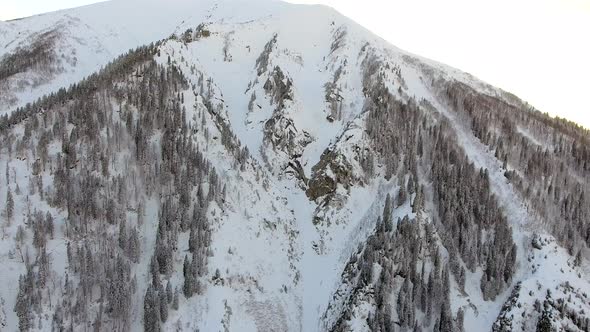 Rocky and Forested Mixed Mountain Summit alt