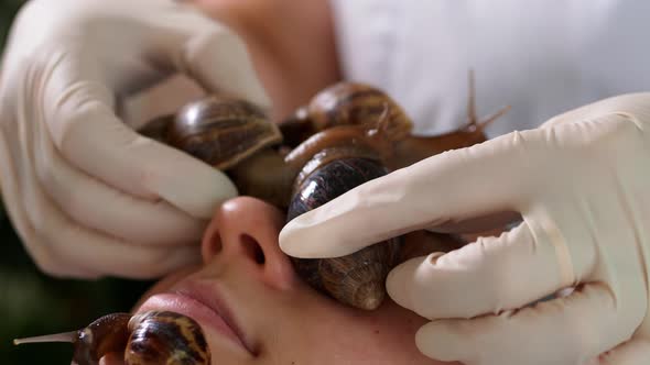 Woman Receiving Snails Treatment at Spa Salon
