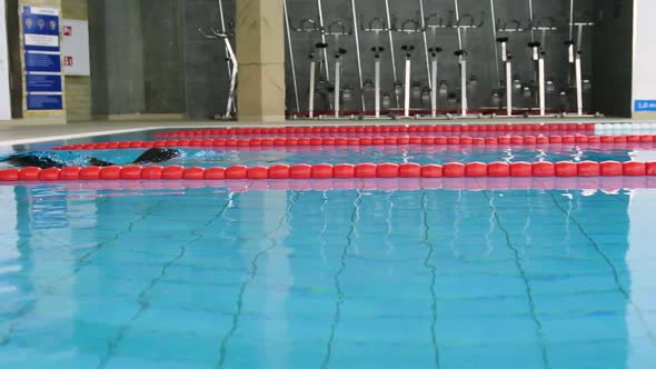 Young athletic caucasian woman swimmer dive alone in the swimming pool, breaststroke slow motion sid alt