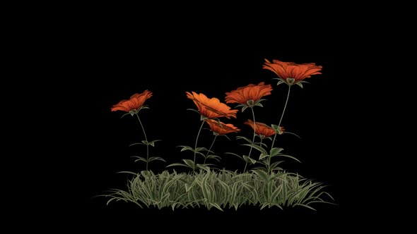 Orange Flower Patch alt