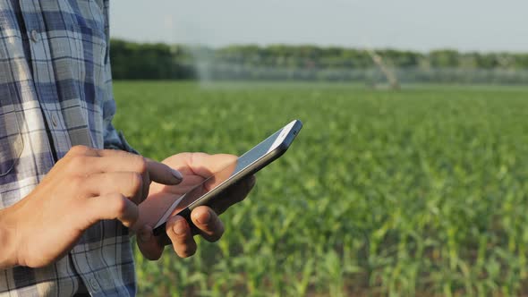 Farmer Uses a Smartphone in the Field, Close-up Hands alt