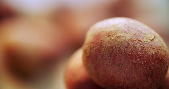Young potatoes spinning around its axis. Reddish potato with a young skin.