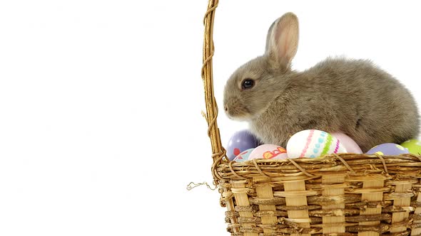 Easter eggs and Easter bunny in wicker basket alt