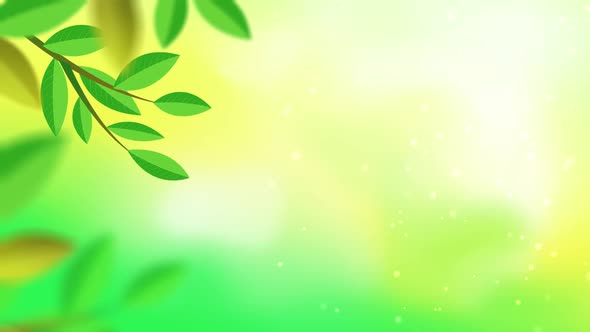 Green Nature Background