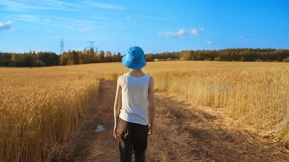 Back of a Boy in a Hat Walking Along the Road in the Golden Wheat Field Sunny Weather