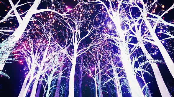 Shining Magic Light Forest
