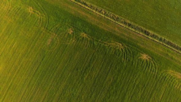 green farm fields drone view spin 