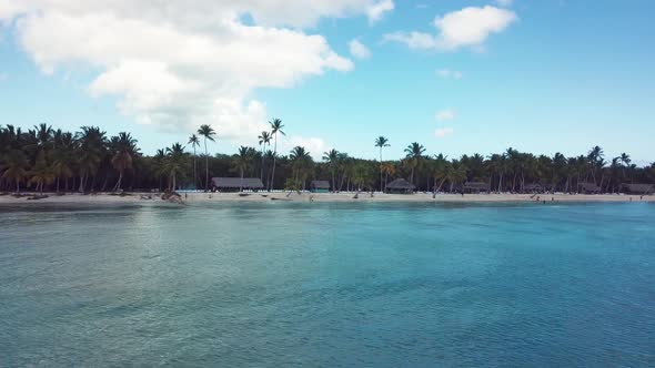 4k 24fps Palms Tree In The Saona Island With Drone Dominican Republic 1 alt
