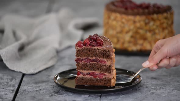 A Piece of Delicious Chocolate Cake with Cherry