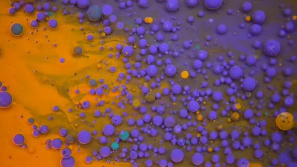 Colorful Mixture Of Paints Spreading