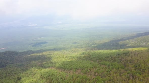 Aerial view of forest of fuji alt