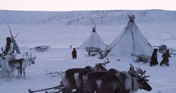 Happy Childhood in the Middle of Arctic in Yurts alt