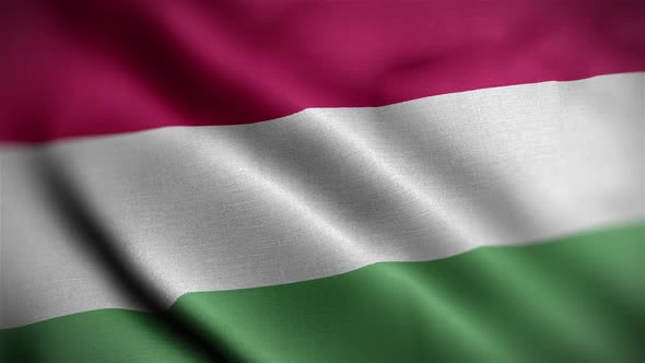 Hungary Flag Textured Waving Close Up Background HD alt