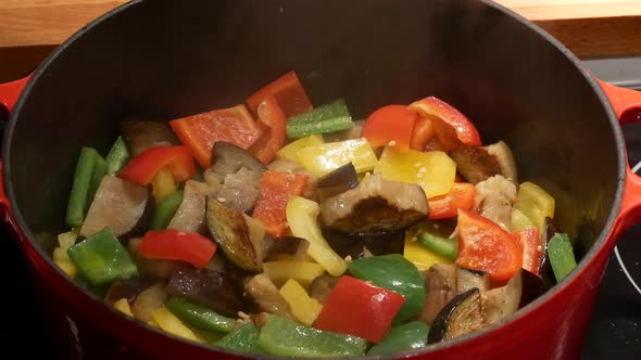 Cooking the ratatouille from Nice alt